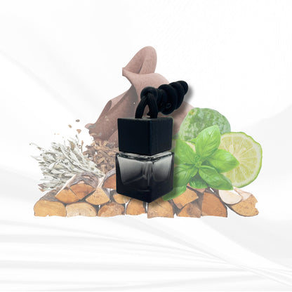 Car Diffuser